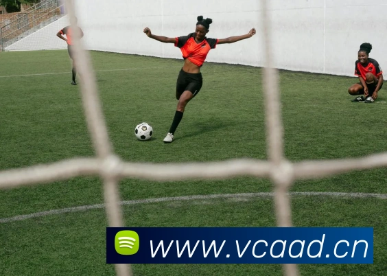 乐鱼登录入口网址APP 封面图